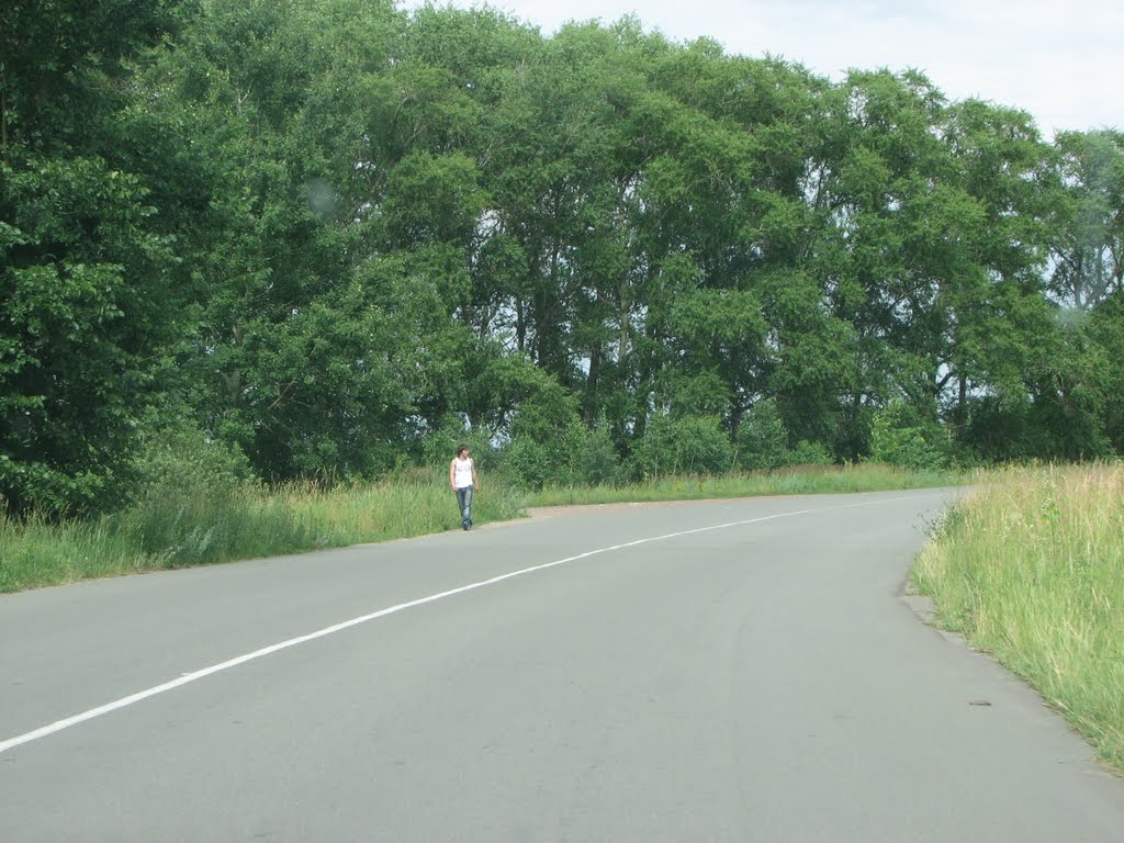 Окружная дорога (налево поворот на аэродром), Бородянка