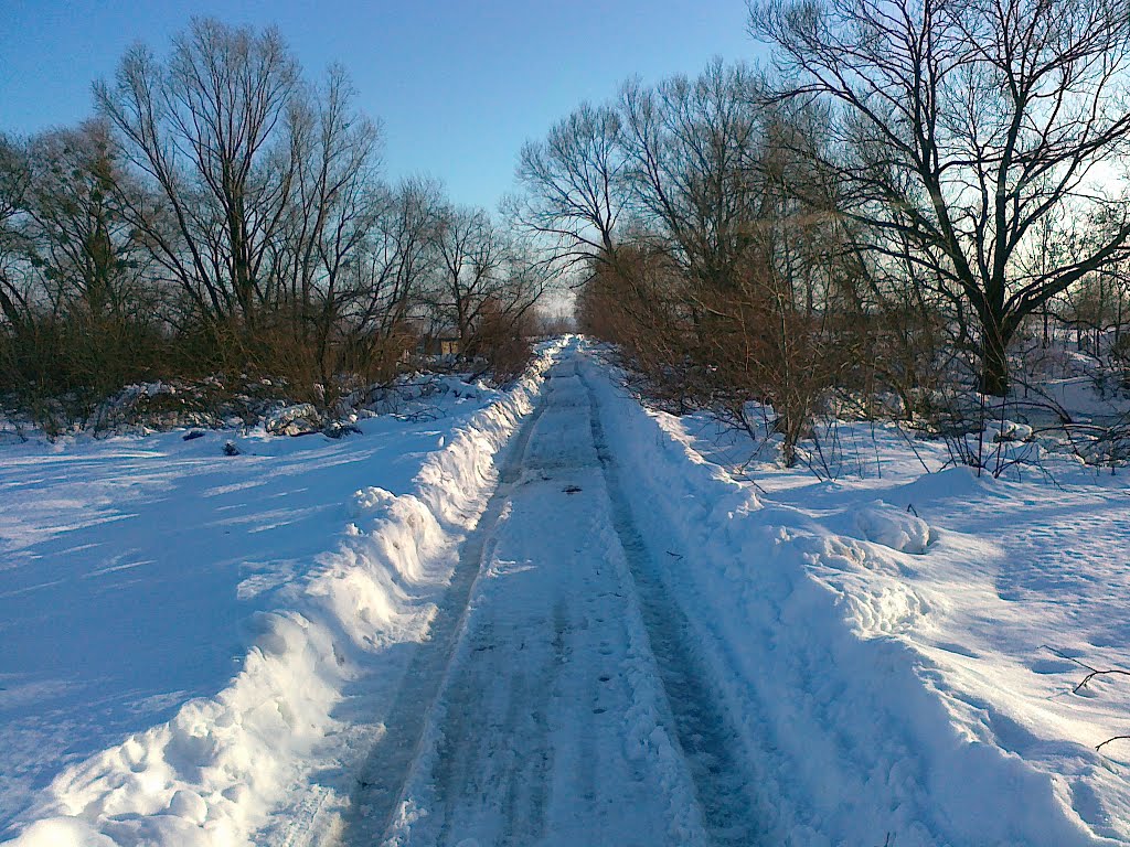 road to old riverbed "Zdvyzh", Бородянка