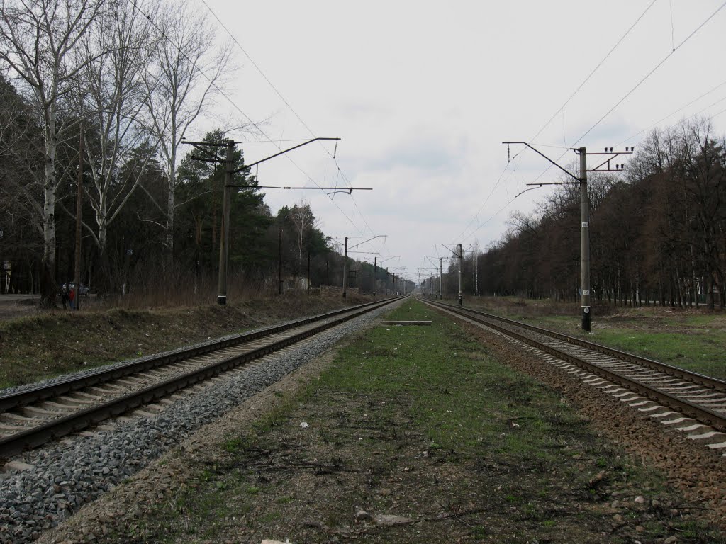 залізничний краєвид * a railway landscape, Ворзель