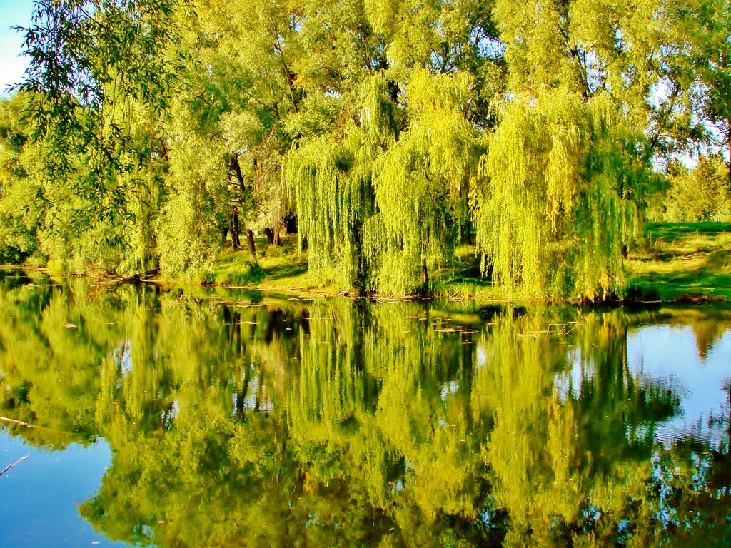 Ракита (Елена Мариничева) / Стихи.ру