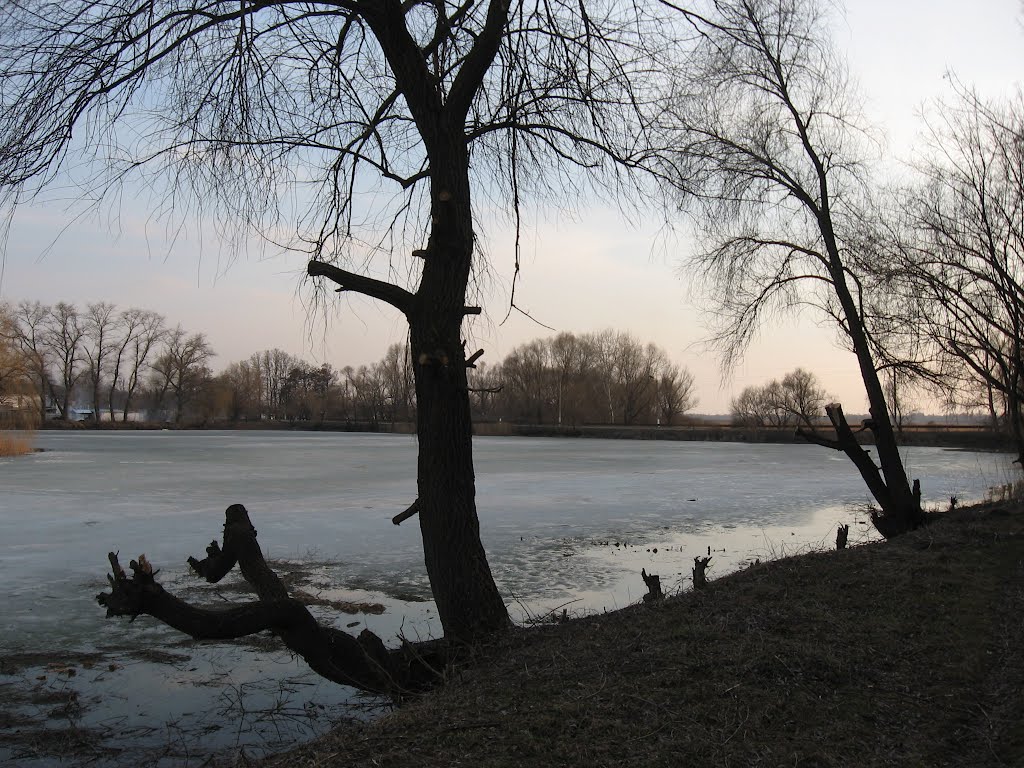 trees over the lake, Згуровка