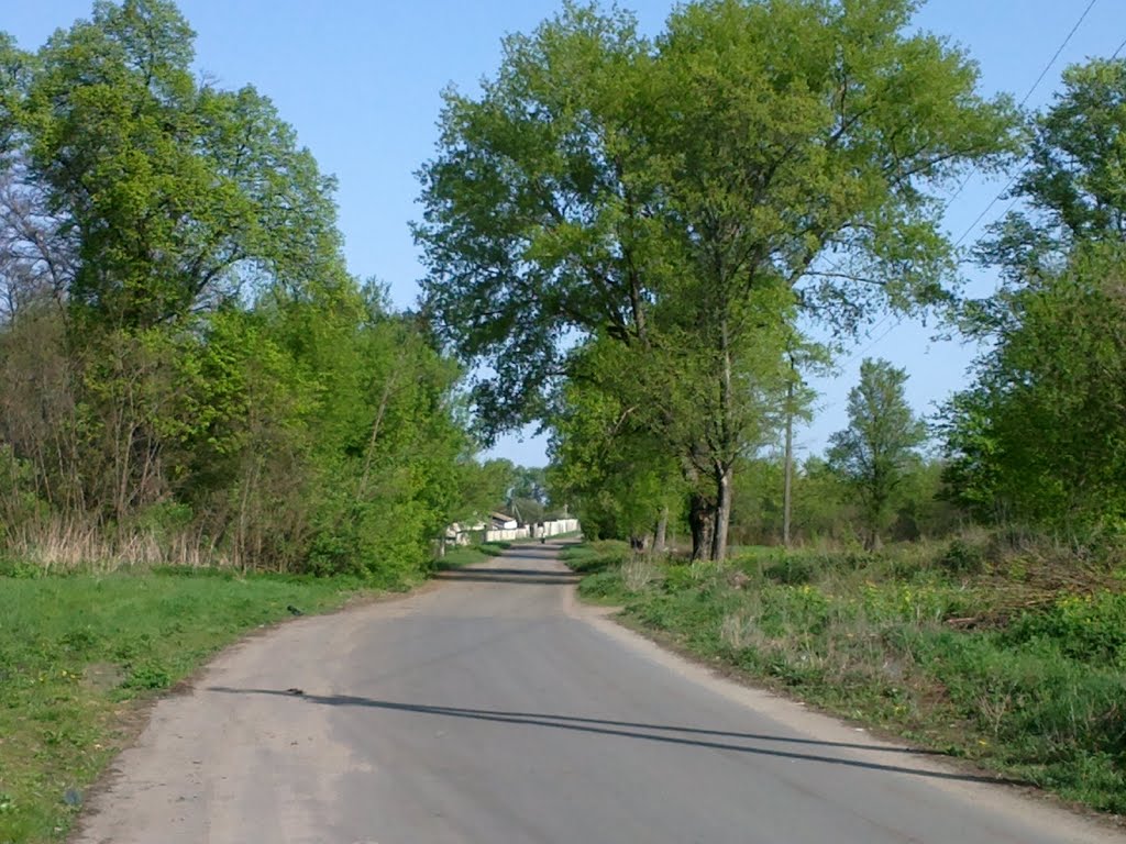 road, Згуровка