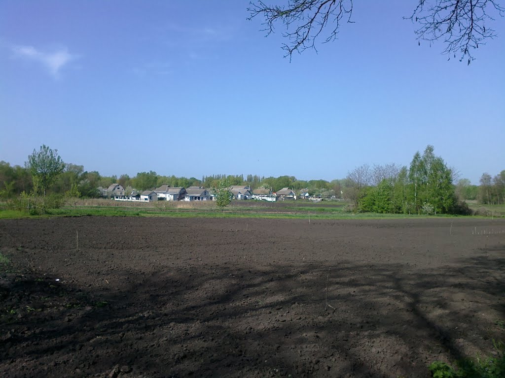 cultivated fields, Згуровка
