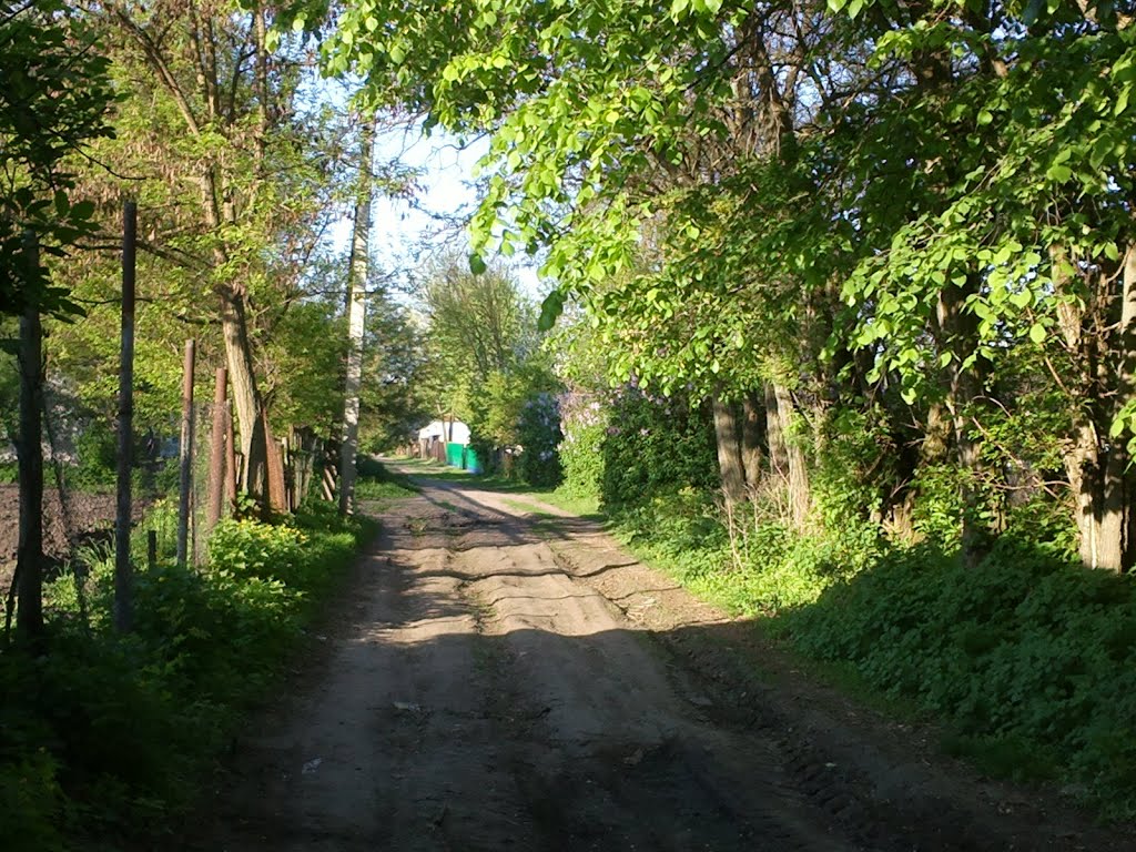 lane, Згуровка