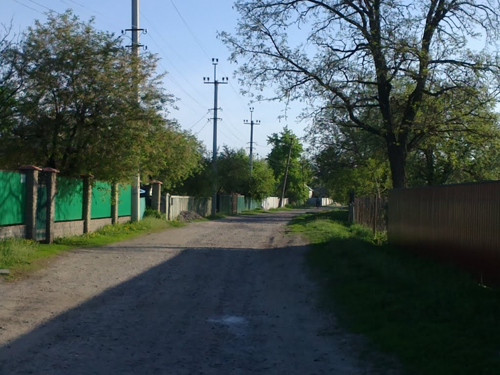 Gorkogo St., Згуровка