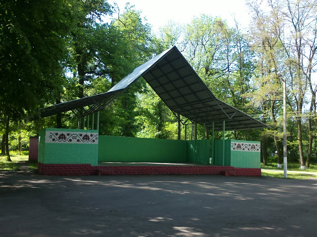 Scene in the park, Згуровка