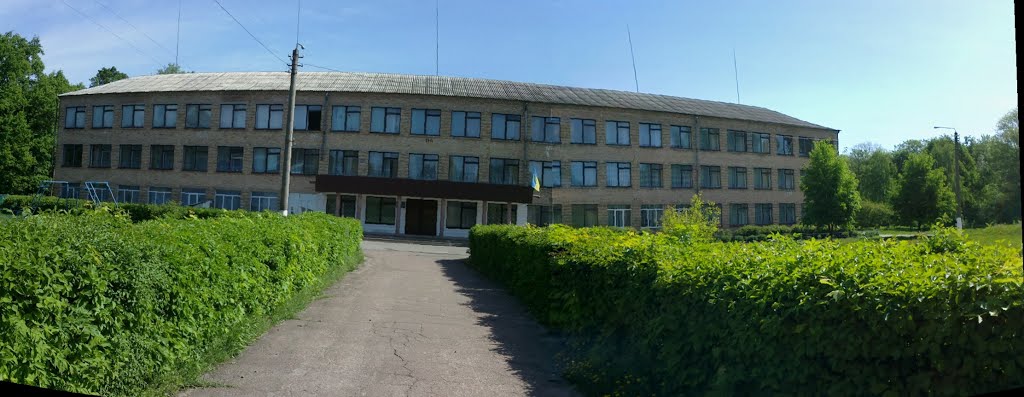 School, Згуровка