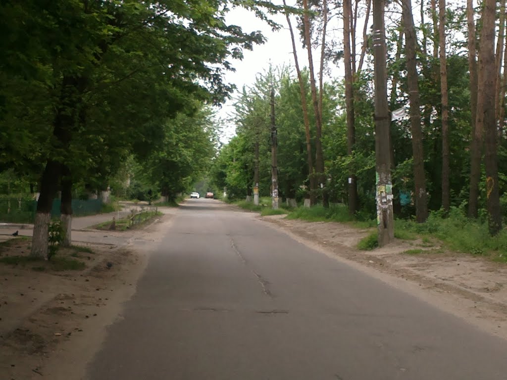 Dzerzhynskogo St., Ирпень