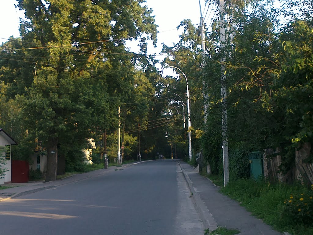 Stepanivska St., Ирпень