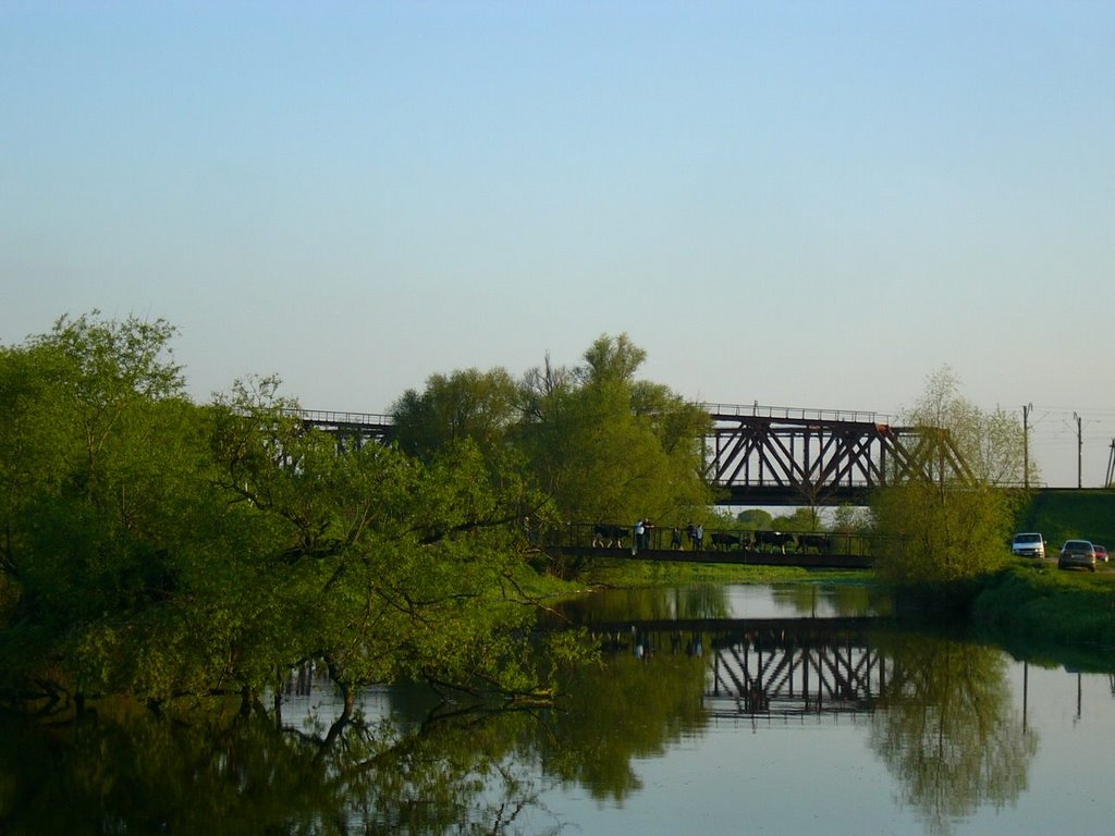 Walk and railway bridges in Irpen river, Ирпень