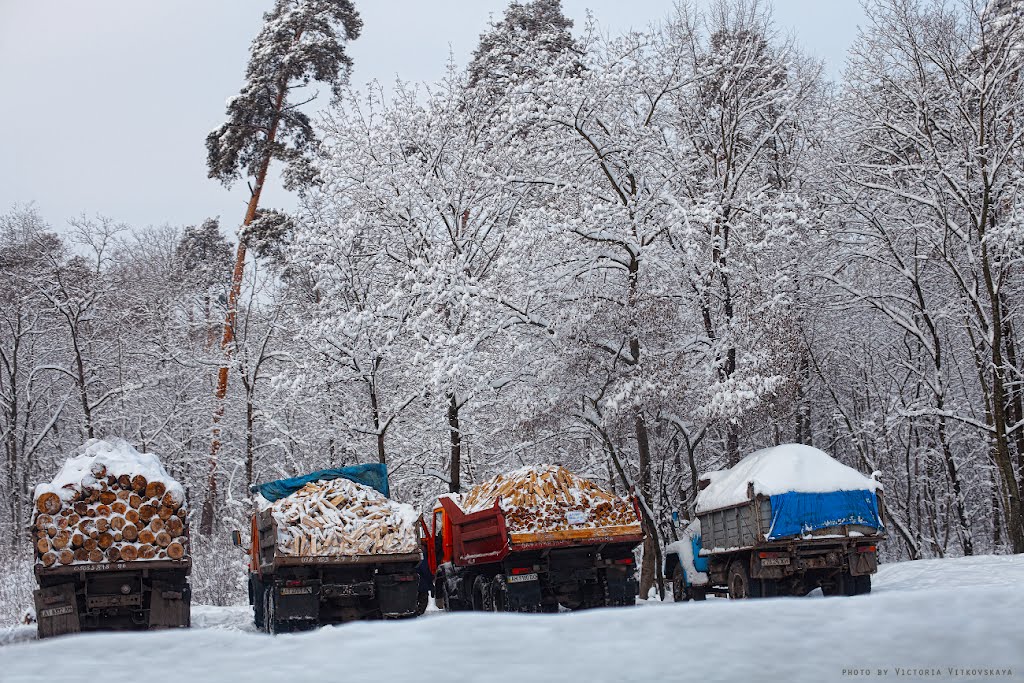 firewood for sale, Киев