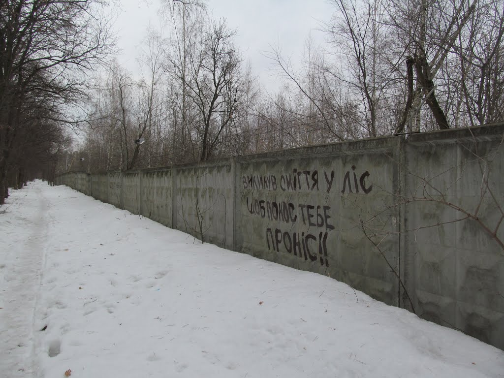 боротьба за чистоту природи :), Киев