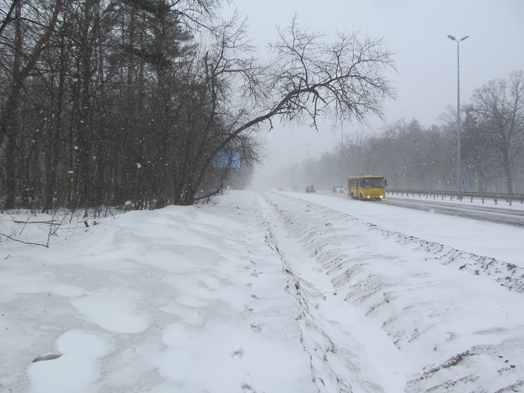 повно снігу уздовж  шосе * snowy highway, Киев