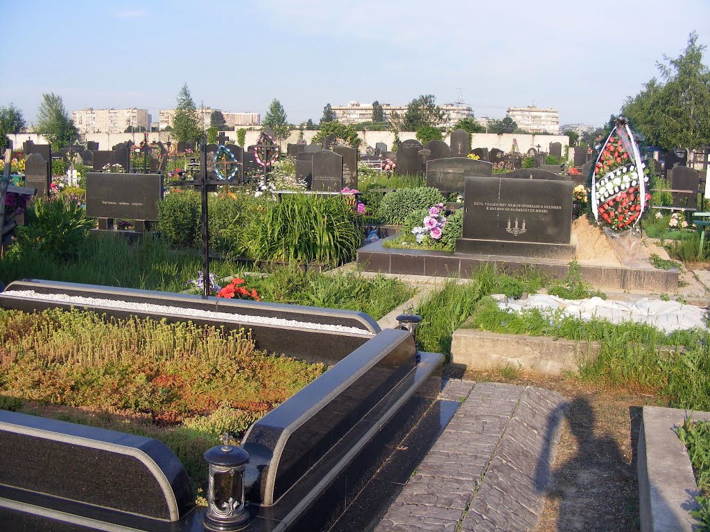 Кладовище у Вишневому, Киевская