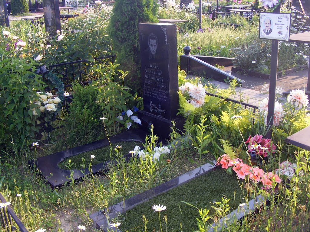 Кладовище у Вишневому, Киевская