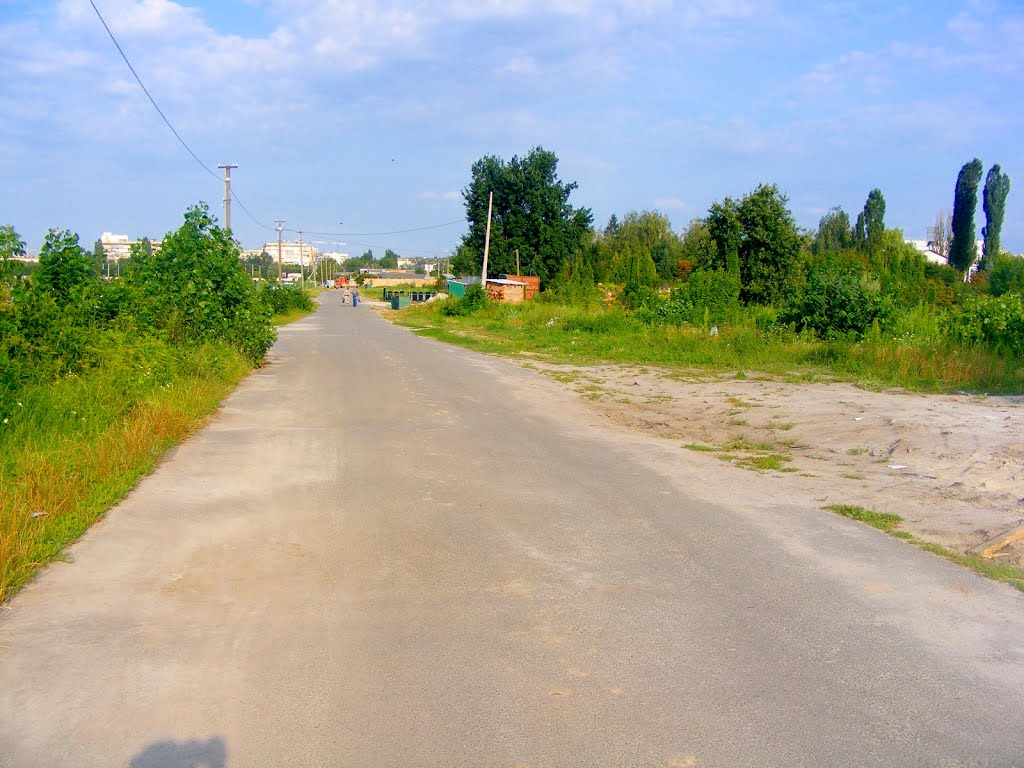 Дорога між новим і старим кладовищем, Киевская
