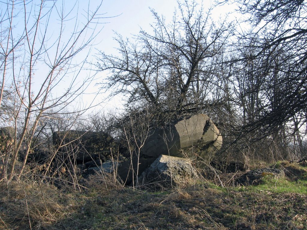 Разрушенный ДОТ, Киевская