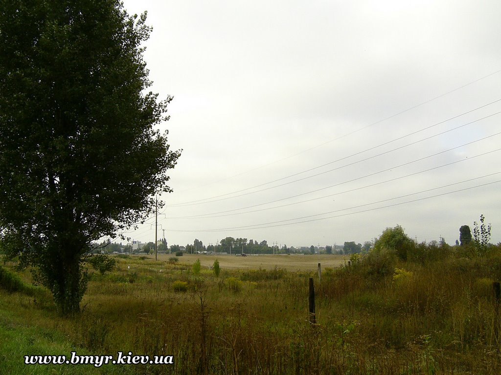 Fields near Vishnevyj, Киевская
