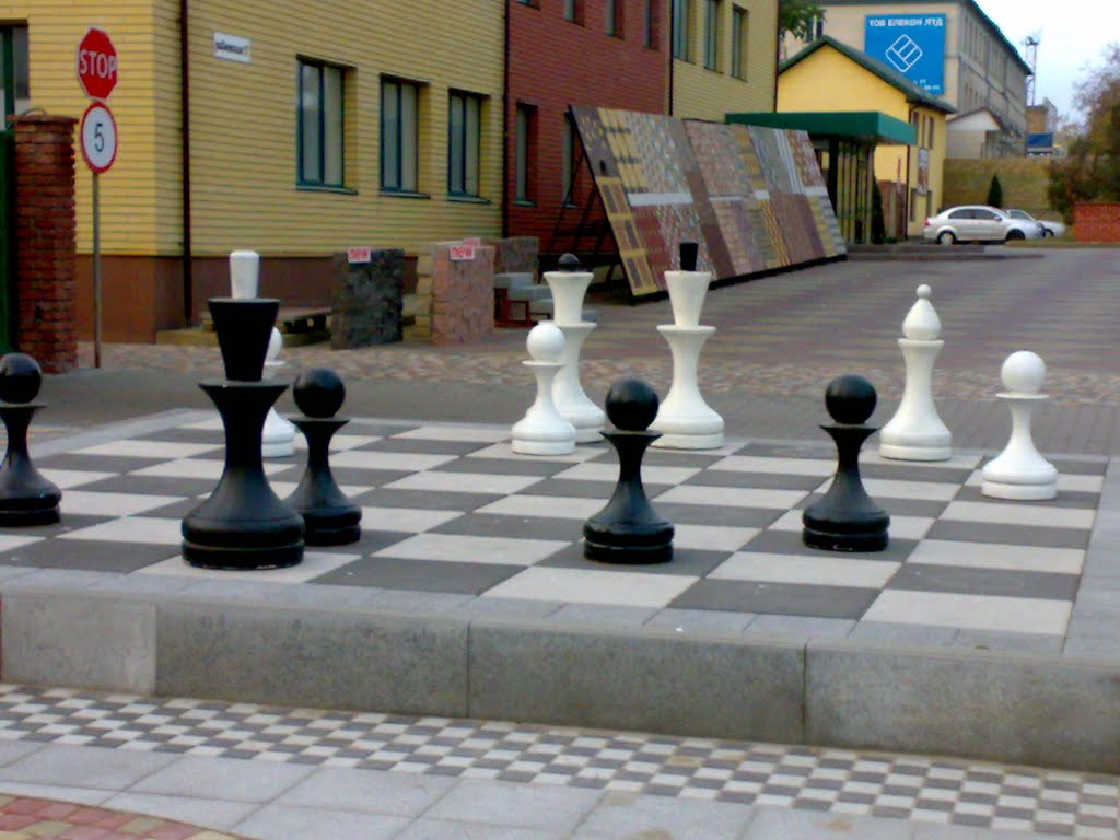 Шахматы2, Киевская