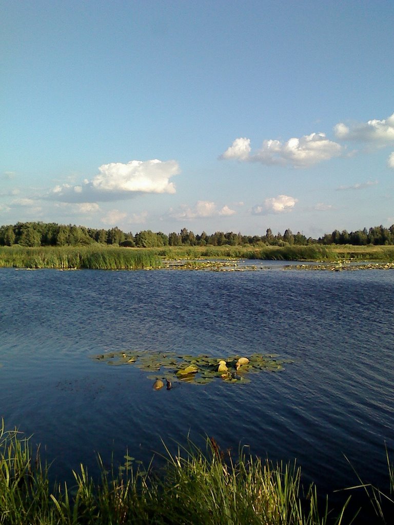 Lakes just south of Kiev. Koncha Zaspa., Козин