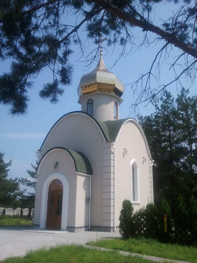 Козин, Киевская область, Украина, Козин