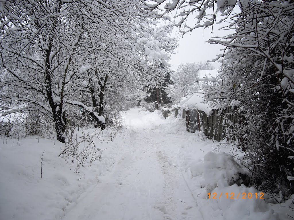 Зимова дорога, Обухов