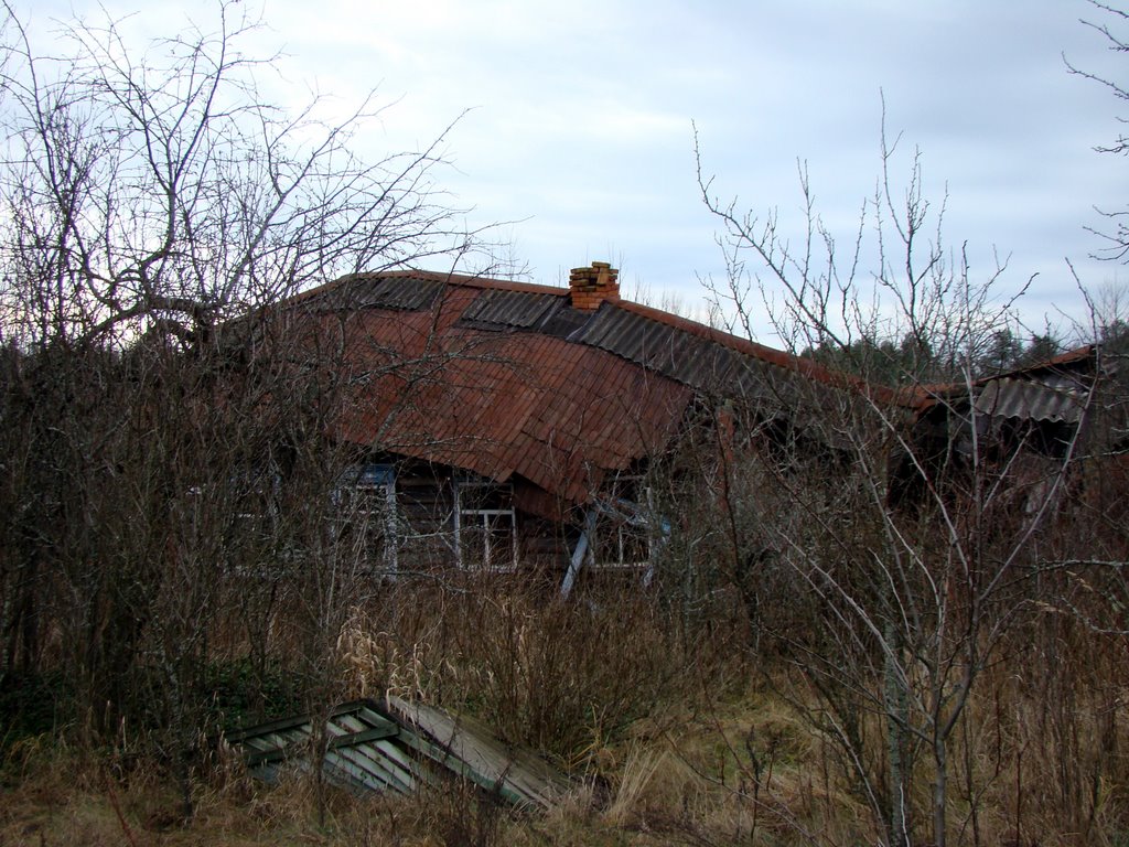 Некоторые дома уже в очень плачевном состоянии / Some houses already in very pitiable condition, Полесское