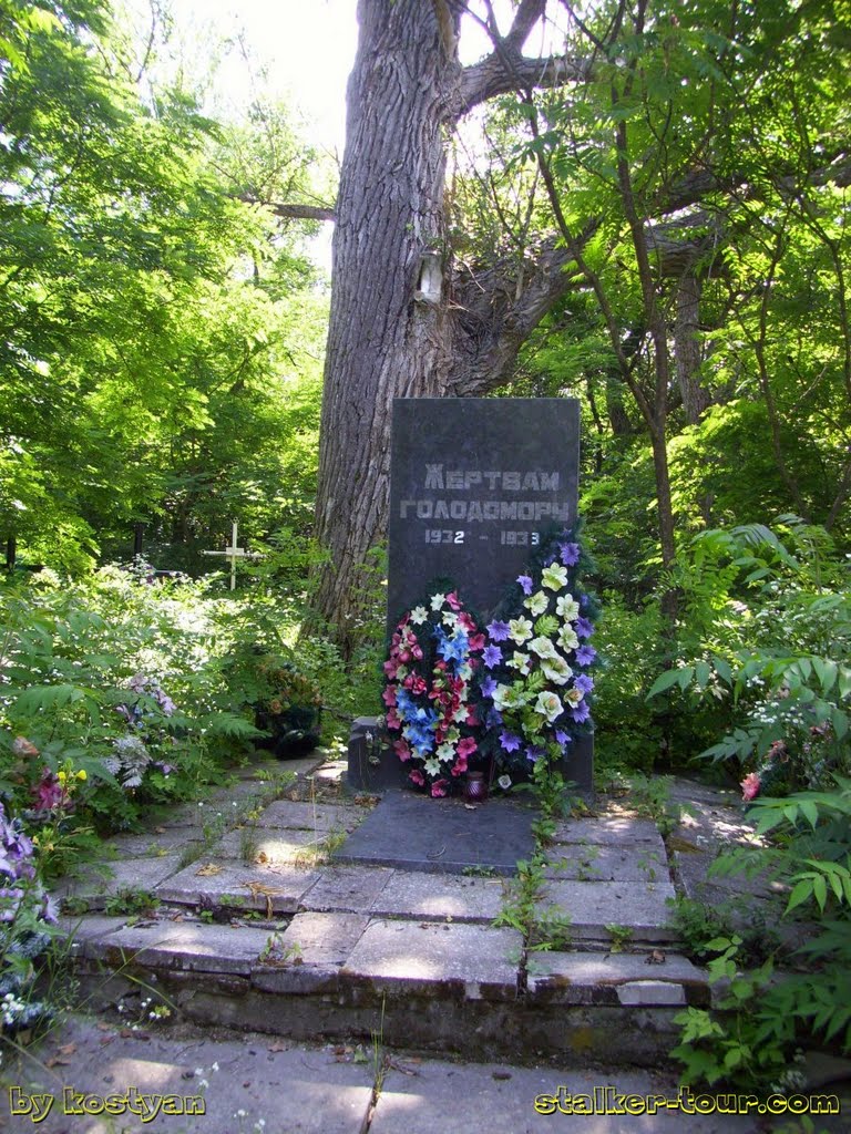 Жертвам голодомора. Памятник на кладбище, Полесское