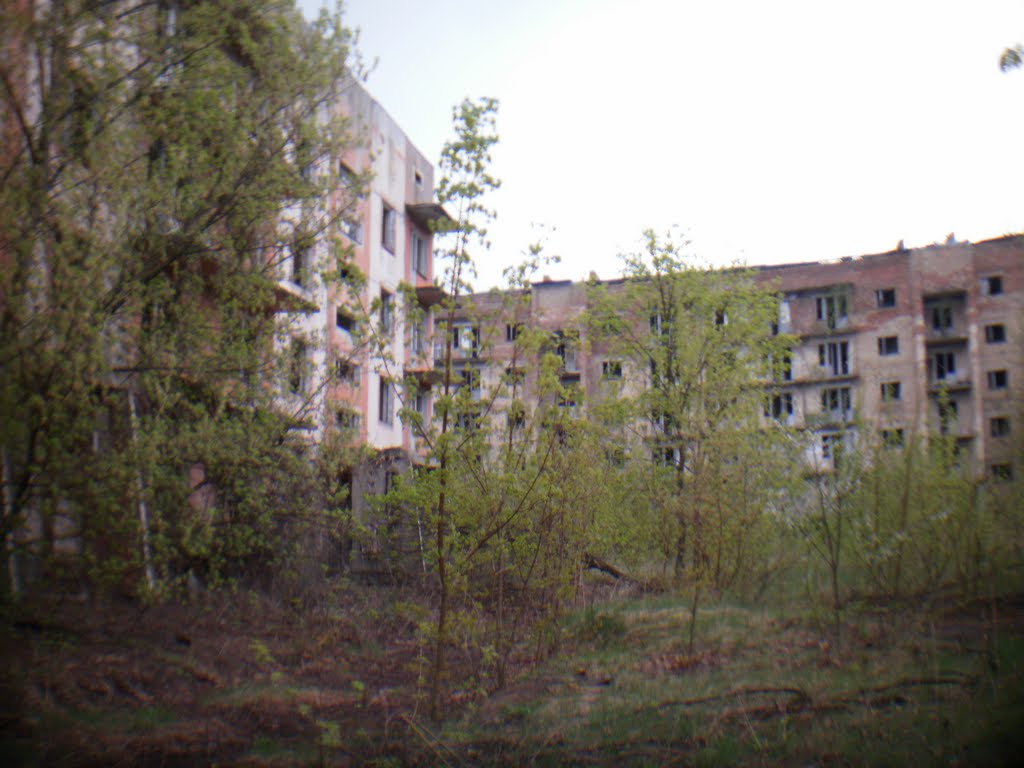 заброшенные дома возле детского садика 2011, Полесское