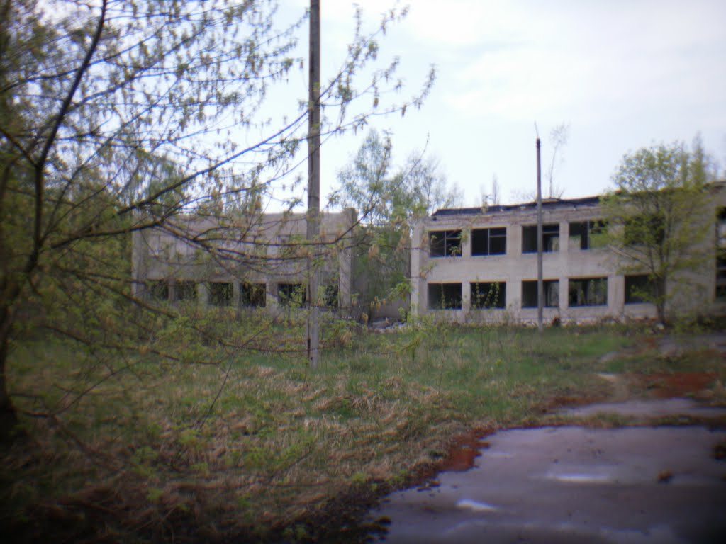 Детский садик 2011, Полесское