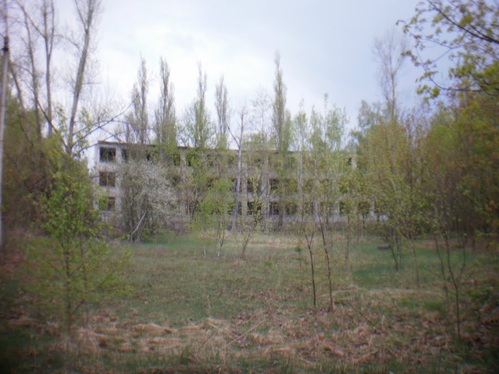 Вид на школу №2 из ул.Воля 2011, Полесское