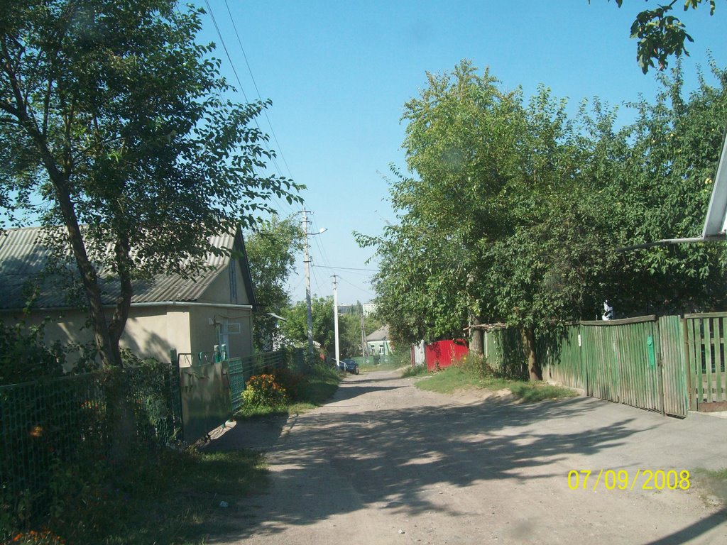 Переулок Кривоноса, Сквира