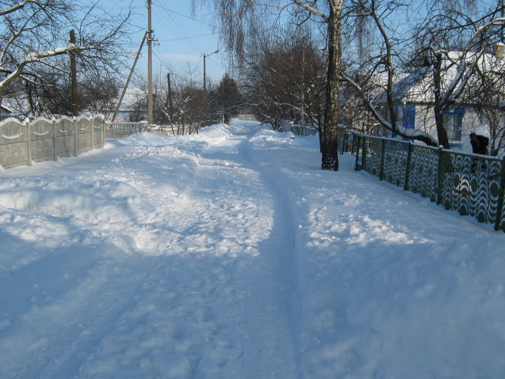 Зима 2010, Ставище