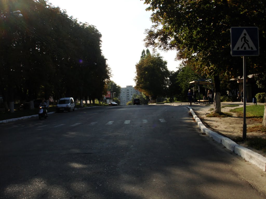 улица в Фастове, Фастов