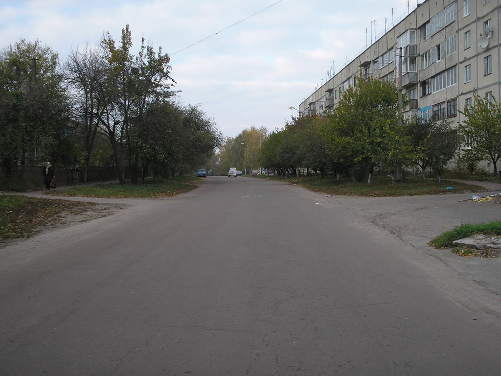 вулиця Довженко, Яготин
