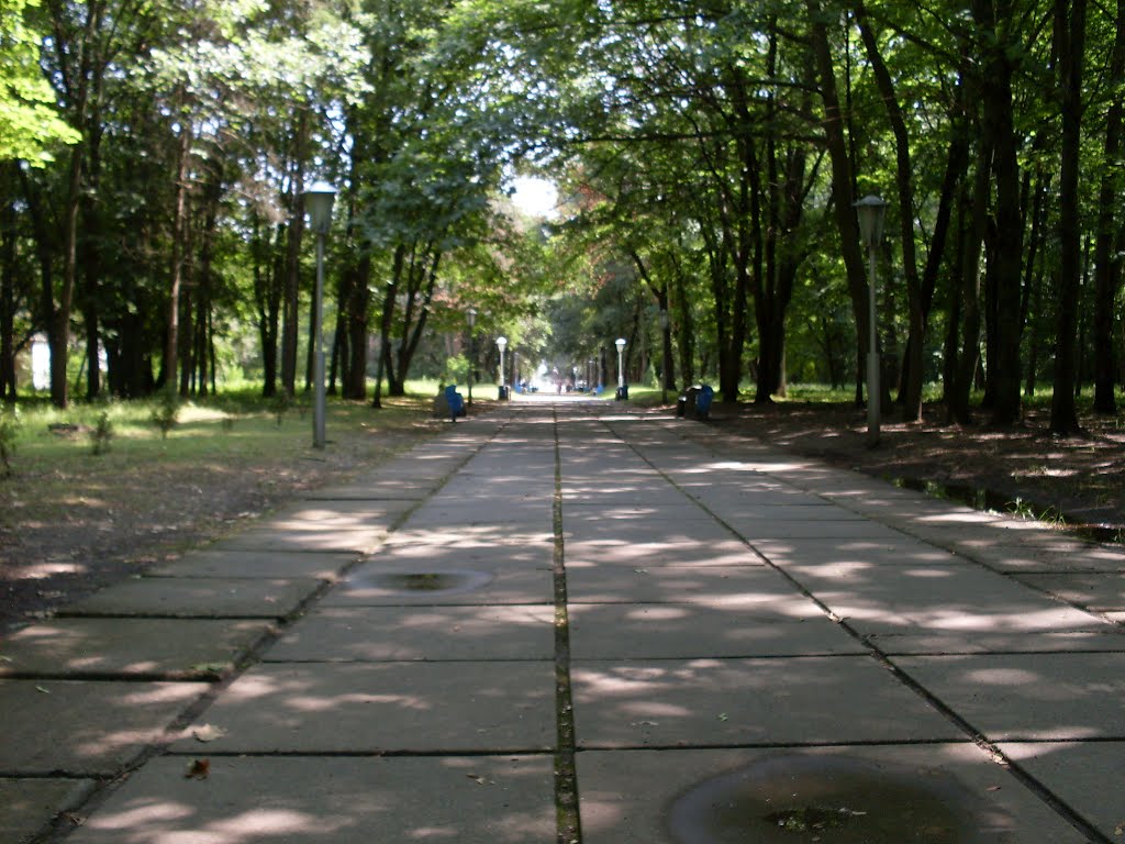 Алея в парке, Яготин