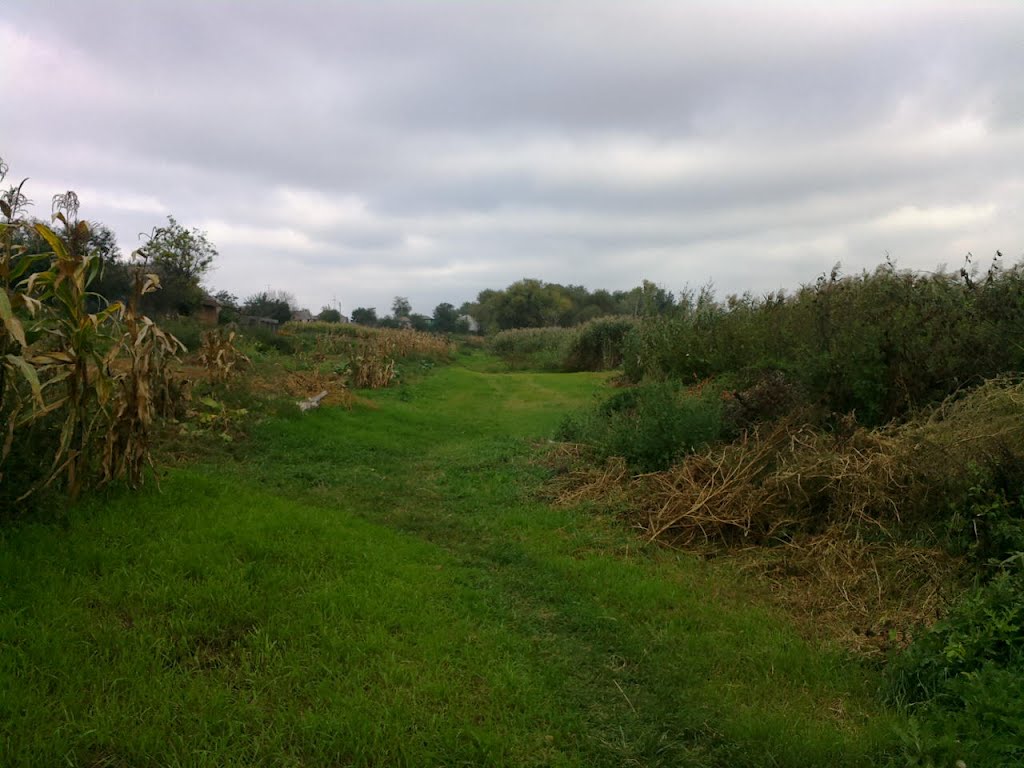 lower path near swamp, Яготин