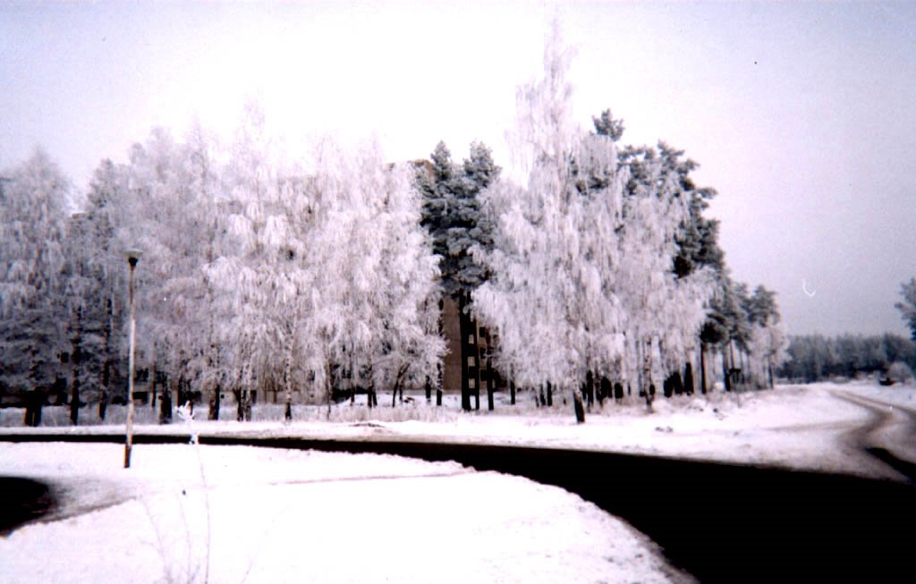 Slavutych46 : paysage dhiver à la sortie de Slavutych en février 1999, Славутич