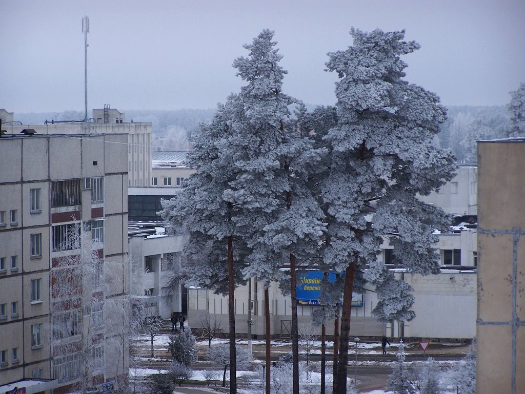 Зима, Славутич