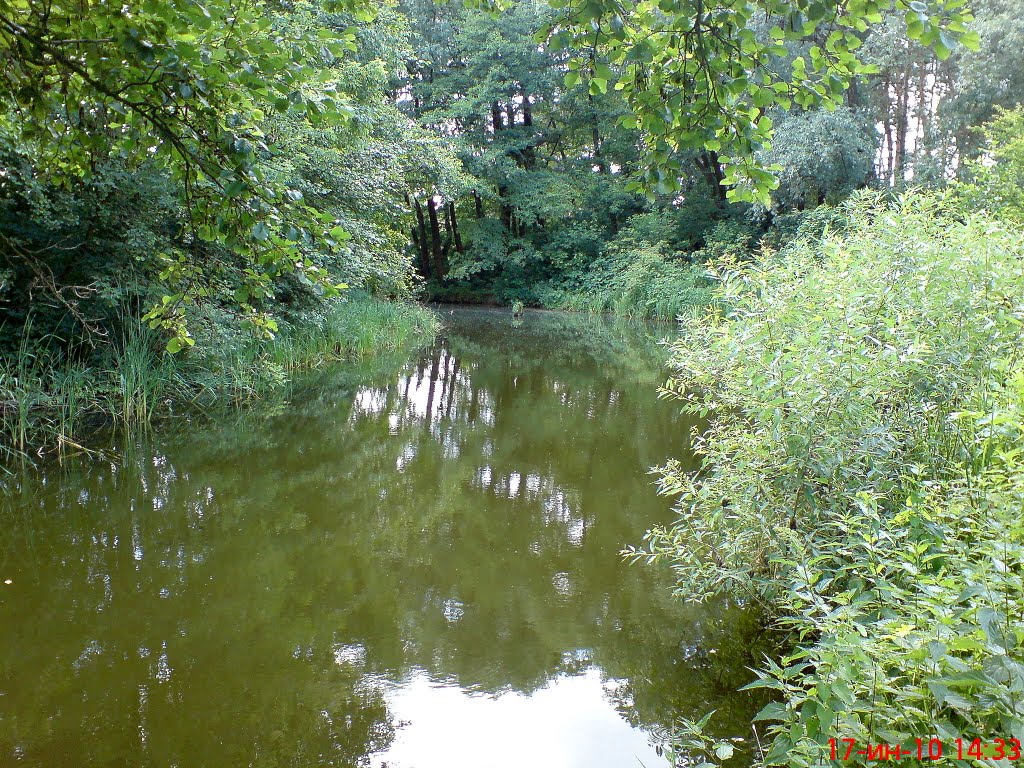 Река, Алексадровка