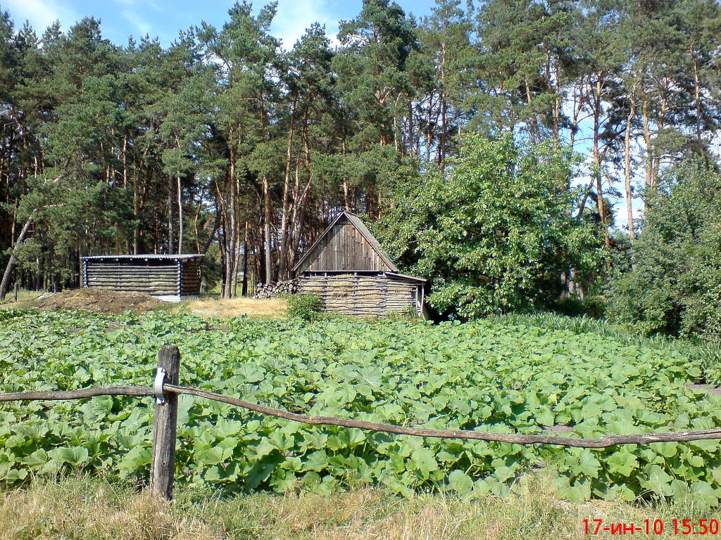 Огородик, Алексадровка