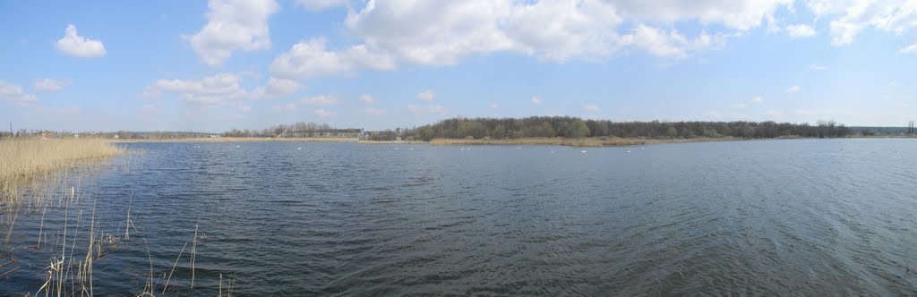 Лебединое озеро, Алексадровка