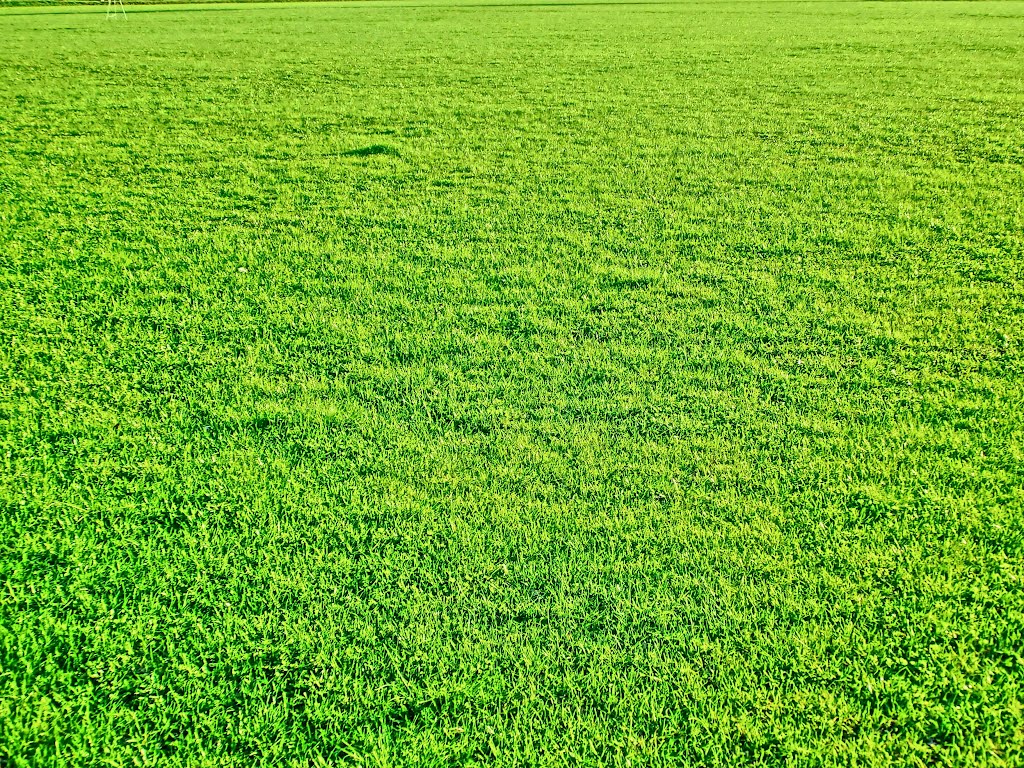green field. fcamethyst-2001.com.ua, Александрия