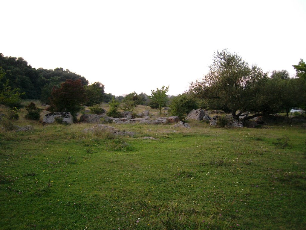 Долина камней, Гайворон