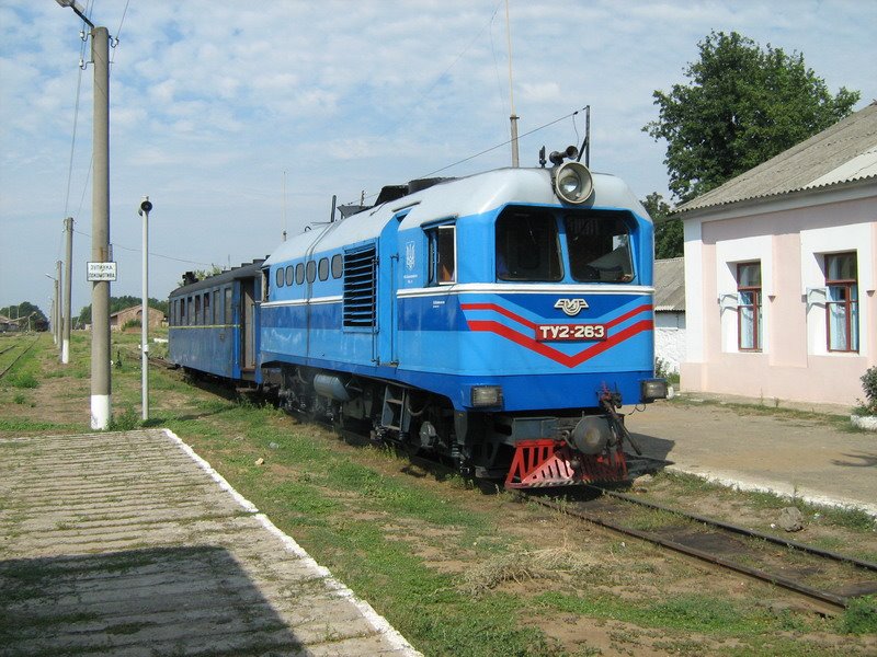 ►Узкоколейный поезд на ст. Голованевск, Голованевск
