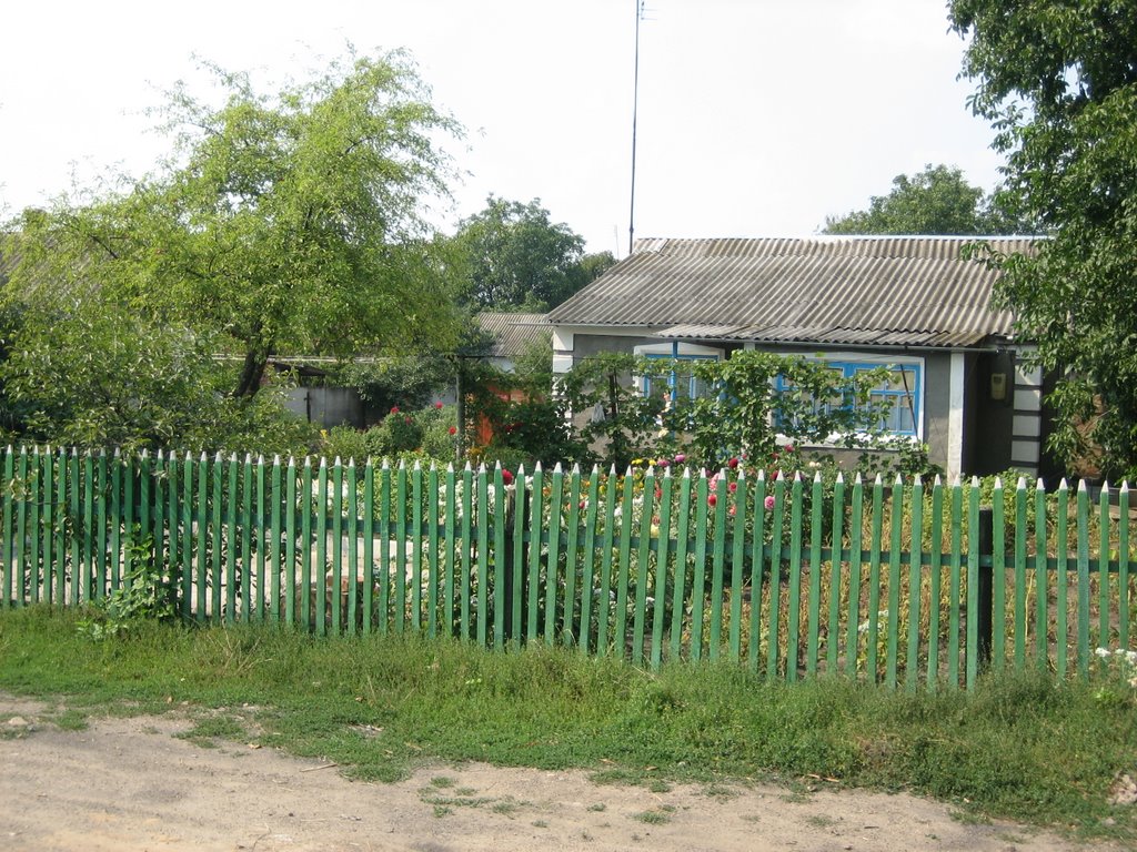 The house of the grandmother, Добровеличковка