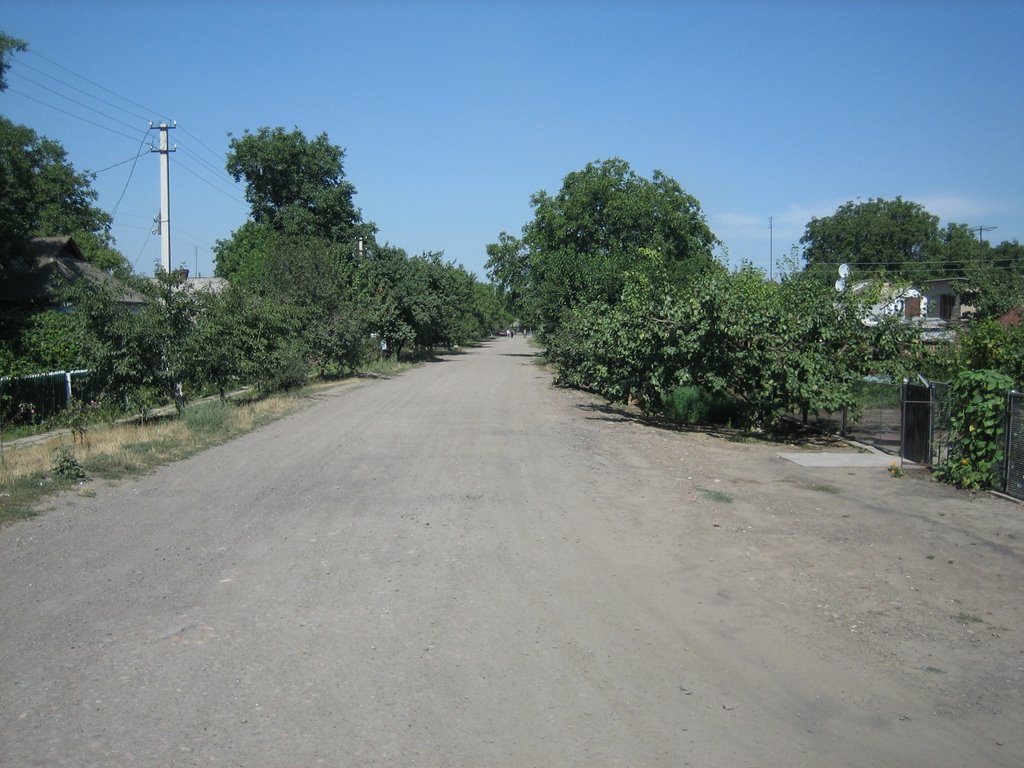 Road, Добровеличковка