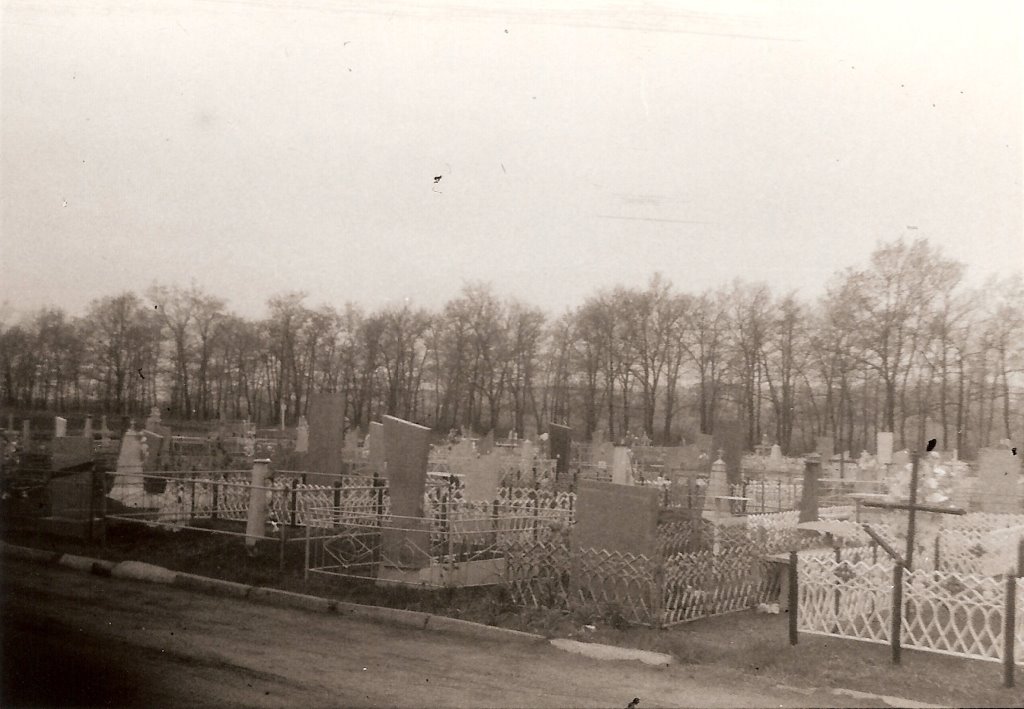 Dolinska cemetery 1991, Долинская