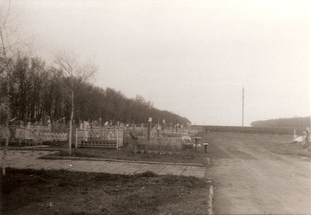 Dolinska cemetery 1991 (1), Долинская