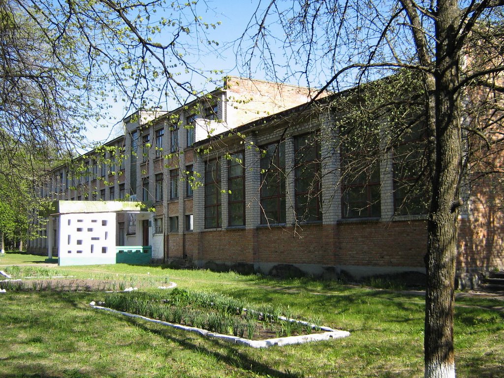 shkola, Елизаветградка
